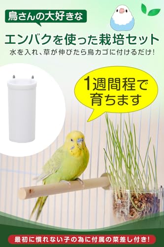 ANIF 鳥さんのやさい 栽培セット 3回分 現役農家さん監修 取扱説明書付き インコ 文鳥 えさ おやつ