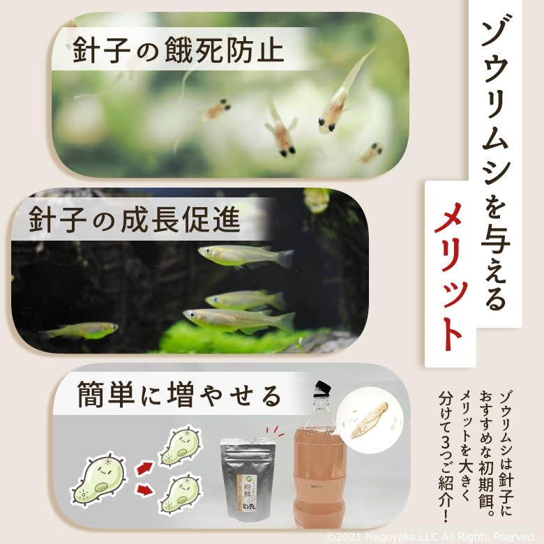 和香 ゾウリムシ ★定番の実績★ 動画による詳しい説明書付 メダカ 金魚 針子 稚魚 の生存率UP ★増殖力・栄養強化★ 800ml インフゾリア 生体 種水 カルキ抜き した 水槽 餌 卵 ミジンコ ブラインシュリンプ の代わりに メダカの餌 針子の餌 アクアリウム ビオトープ 飼育 に 適した 水 作り psb との相性も良 通販